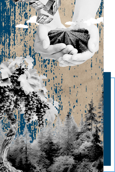 Groupements fonciers et viticoles pour réduire sa fiscalité grâce aux conseils de Patrimonio Finance